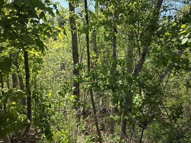 Land for sale in Waldo, Maine