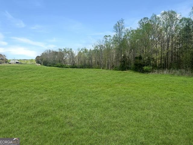 Land for sale in Eastanollee, Georgia