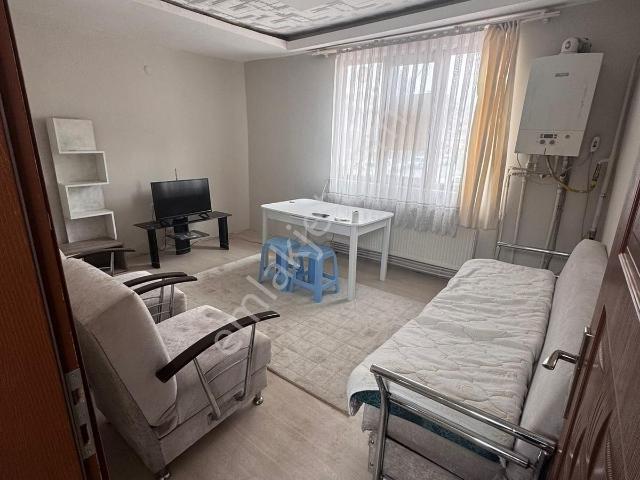 Tokat Merkez, Tokat içerisinde kiralık mülk