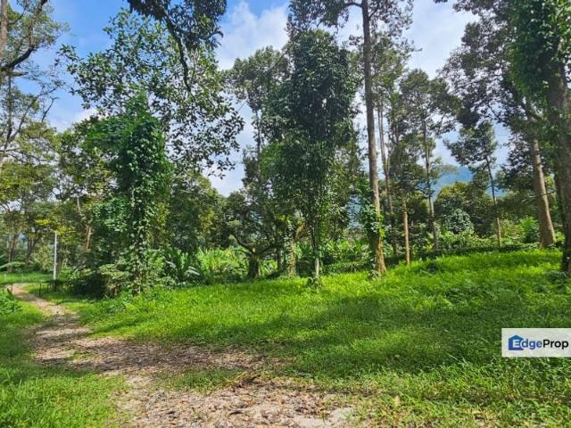 Shop for sale in Perak, Gopeng