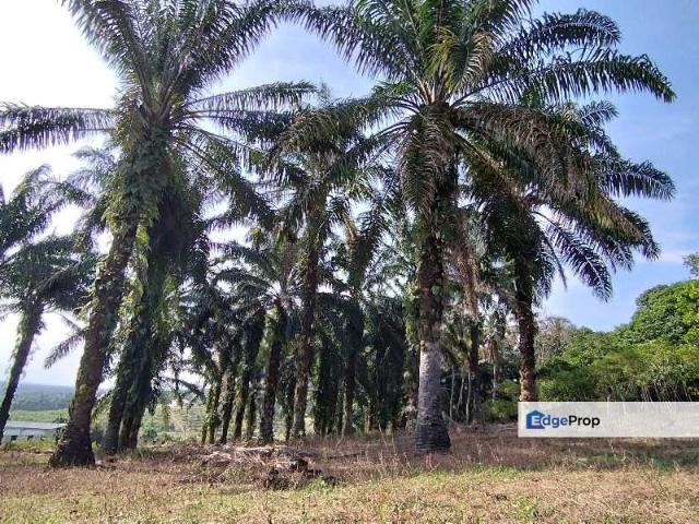 Shop for sale in Perak, Gopeng