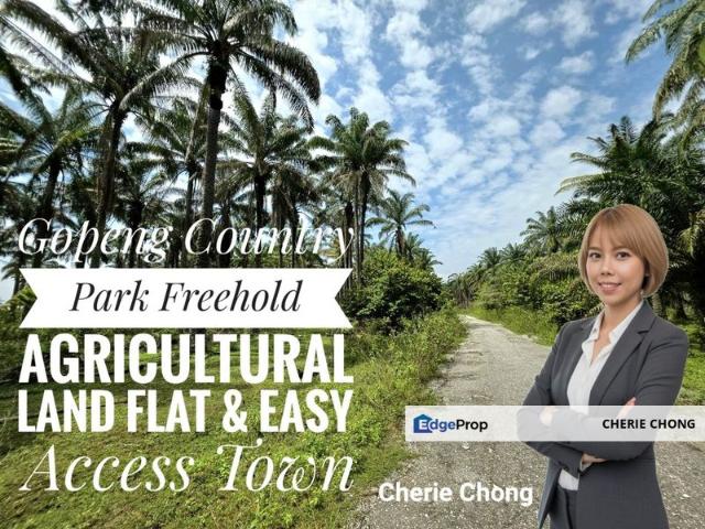 Shop for sale in Perak, Gopeng