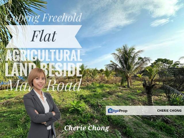 Shop for sale in Perak, Gopeng