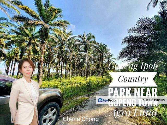 Shop for sale in Perak, Gopeng