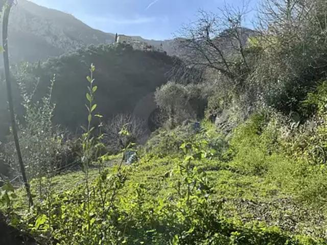 Terrain vente à Nice, Gorbio