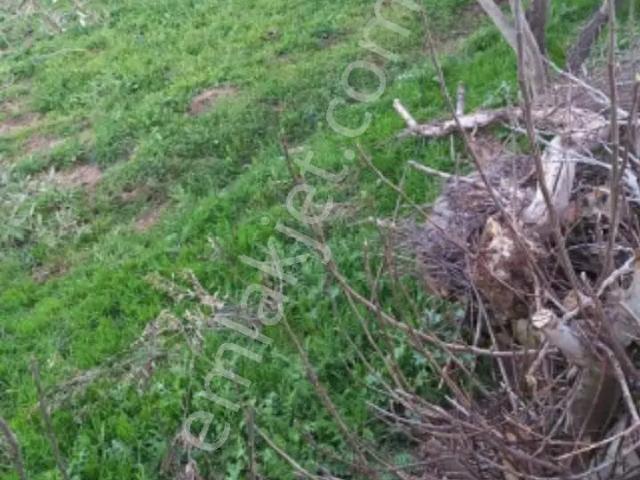 Gördes, Manisa içerisinde satılık Bahce kati