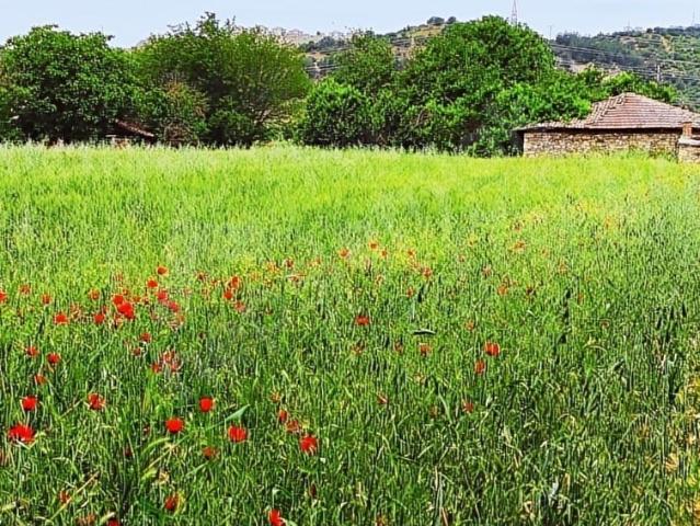 Gördes, Manisa içerisinde satılık Arsa