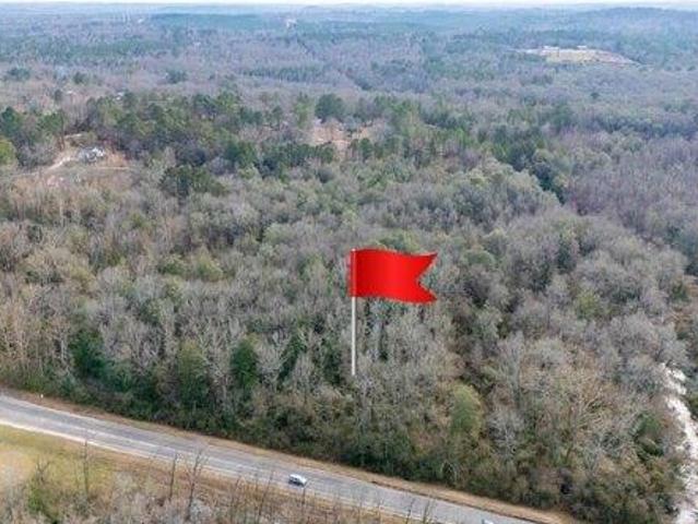 Land for sale in Gordo, Alabama