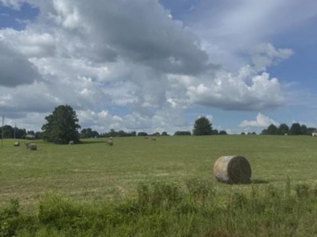 Land for sale in Tennessee