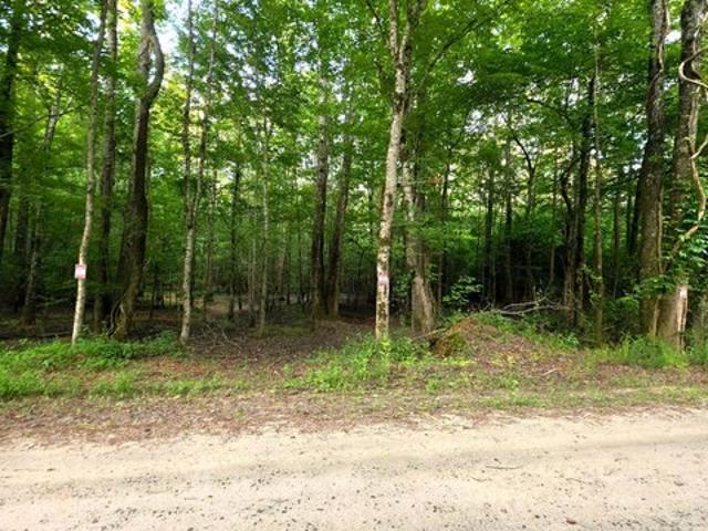 Land for sale in Forsyth, Georgia