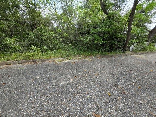 Land for sale in Florala, Alabama