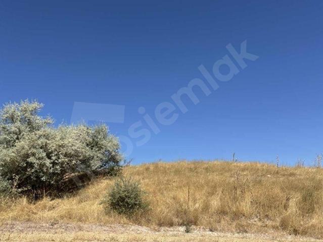 Nevşehir Merkez, Nevşehir içerisinde satılık mülk
