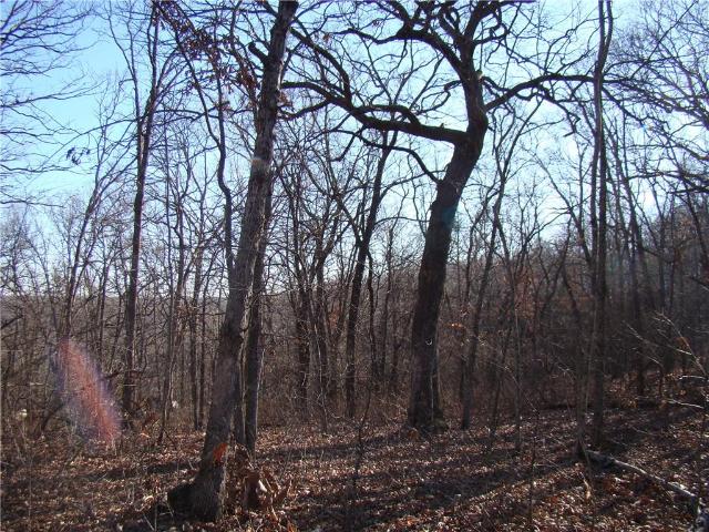 Land for sale in Lincoln, Missouri