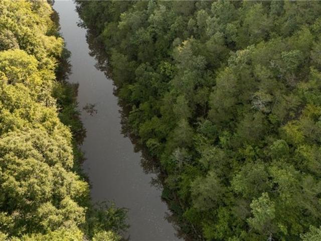 Land for sale in Berry, Alabama