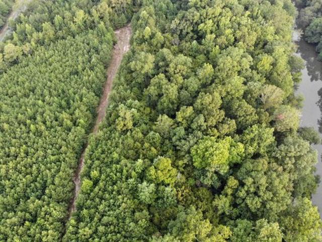 Land for sale in Northport, Tuscaloosa County