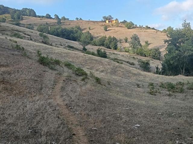 Alaçam, Samsun içerisinde satılık Arsa