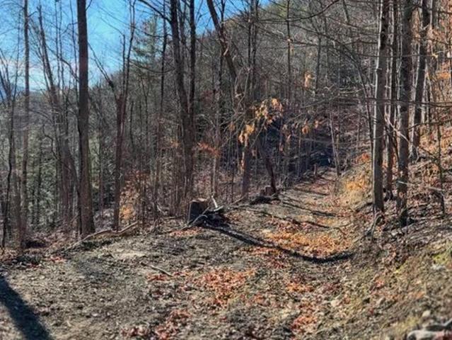 Land for sale in Middleburgh, New York
