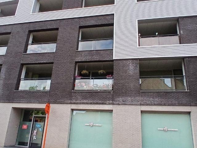 Kot location à Denderleeuw, Oost-Vlaanderen