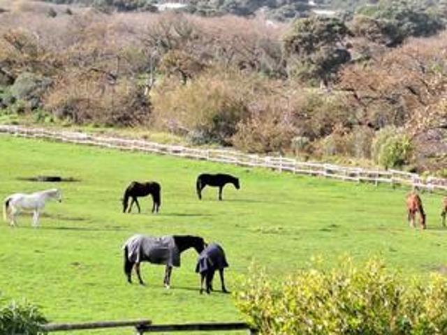 Apartment for rent in Noordhoek, Western Cape