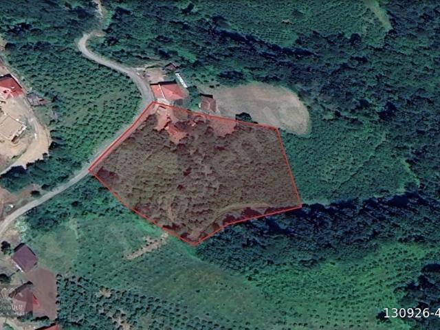 Çarşamba, Samsun içerisinde satılık mülk