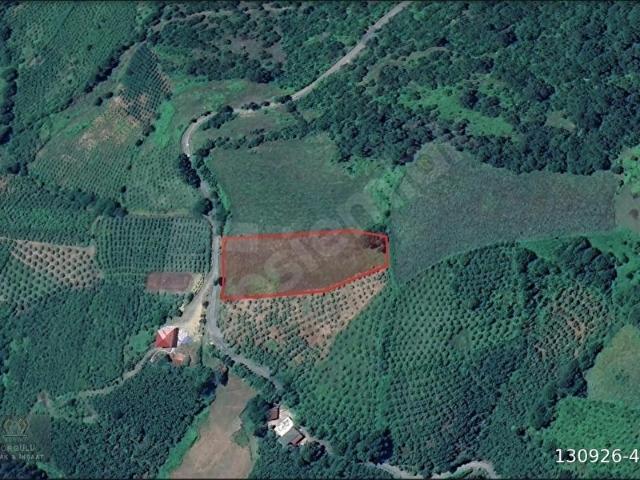 Çarşamba, Samsun içerisinde satılık mülk