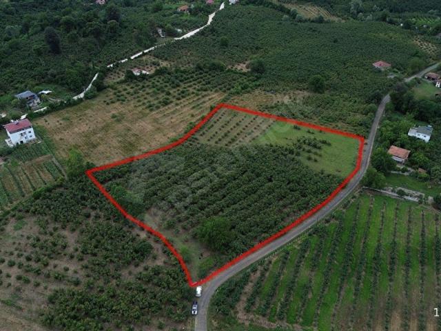 Salipazari, Samsun içerisinde satılık mülk