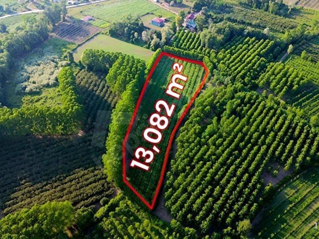Çarşamba, Samsun içerisinde satılık Arsa
