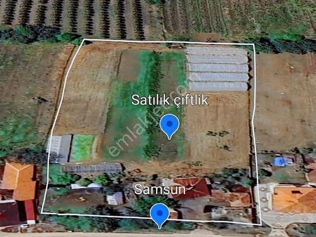 Çarşamba, Samsun içerisinde satılık Fabrika