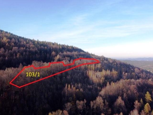 Grunt na sprzedaż w Karpacz, Dolnośląskie