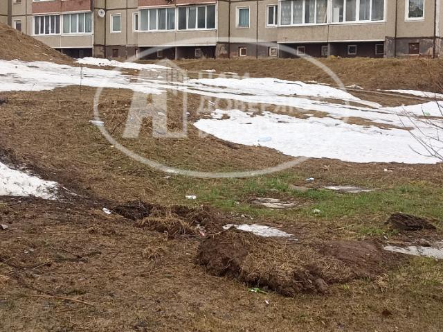 Квартира продажа в Горнозаводск, Пермский Край