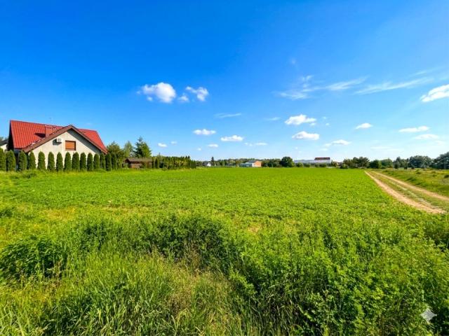 Grunt na sprzedaż w Gortatowo, Wielkopolskie