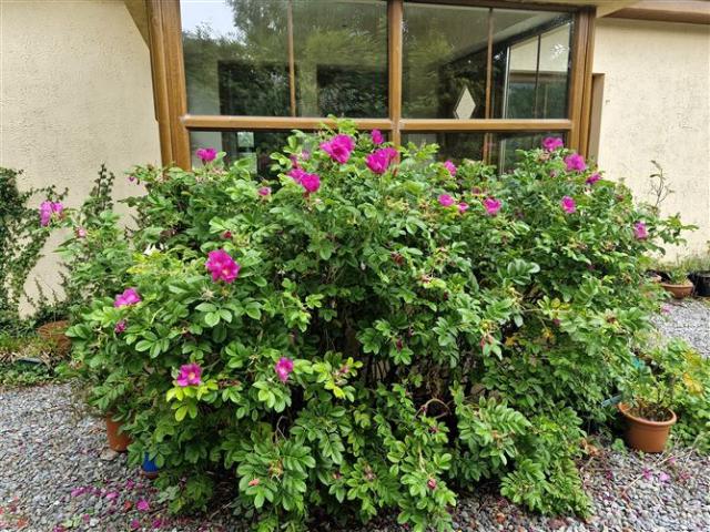 Property for sale in Killarney, Kerry