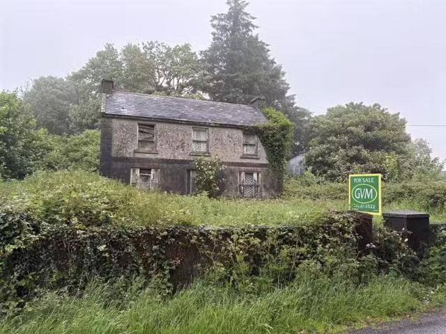 House to rent