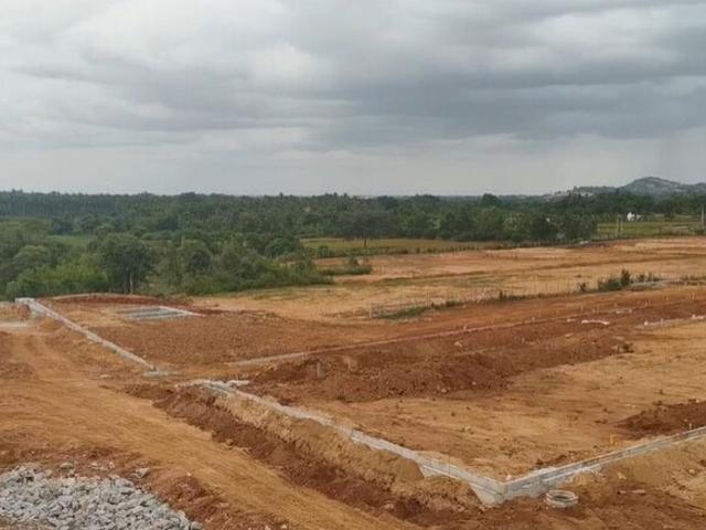 Land for sale in Lakhana, Arunachal Pradesh