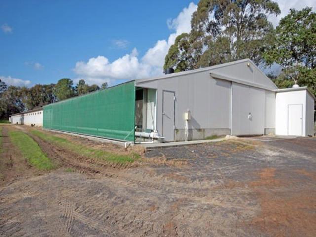 Cottage for sale in Central Mangrove, New South Wales