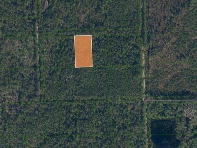 Land for sale in Palatka, Florida