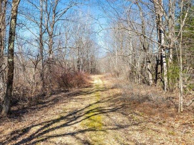 Land for sale in Goshen, Connecticut