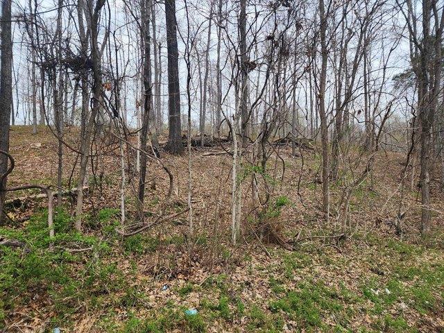 Land for sale in Tennessee