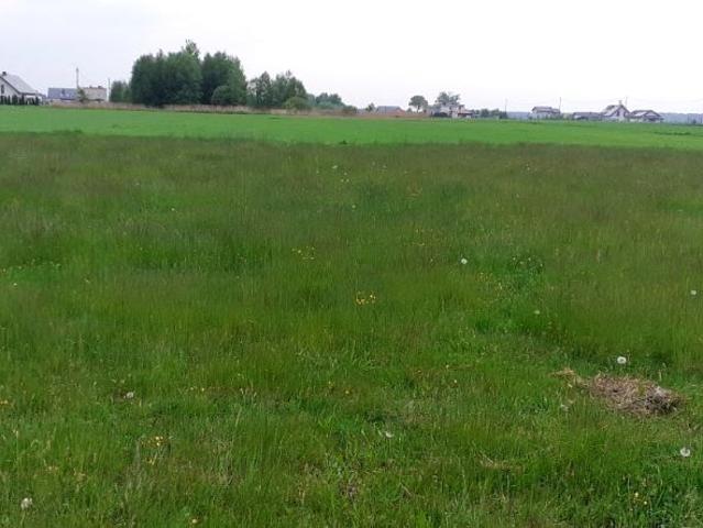 Grunt na sprzedaż w Orzesze, Śląskie