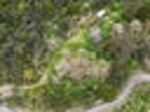 Land for sale in Motukaraka, Kaikohe-Hokianga Community
