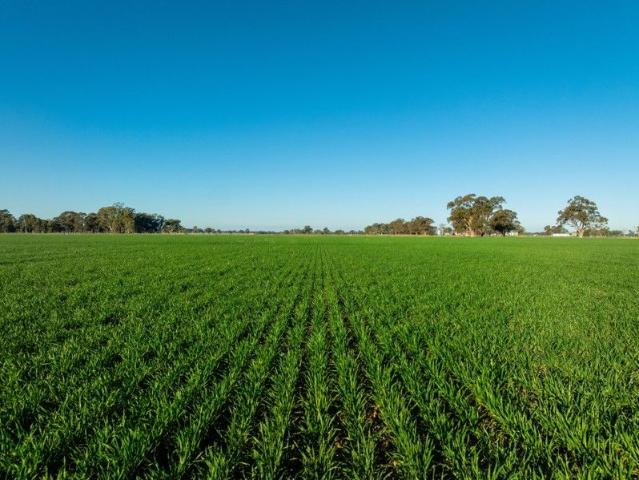 Cottage for sale in Strathmerton, Victoria