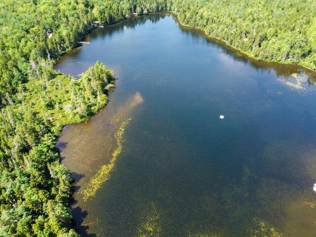 Land for sale in Robbinston, Maine