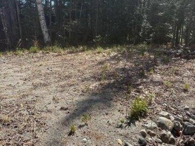 Land for sale in Corea, Maine