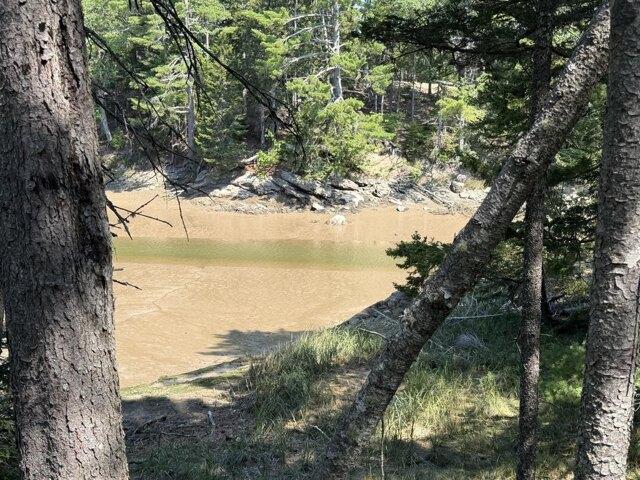 Land for sale in Corea, Maine