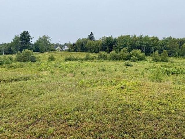 Land for sale in Corea, Maine
