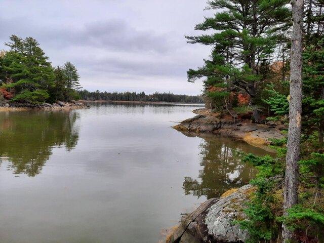 Land for sale in Gouldsboro, Hancock County
