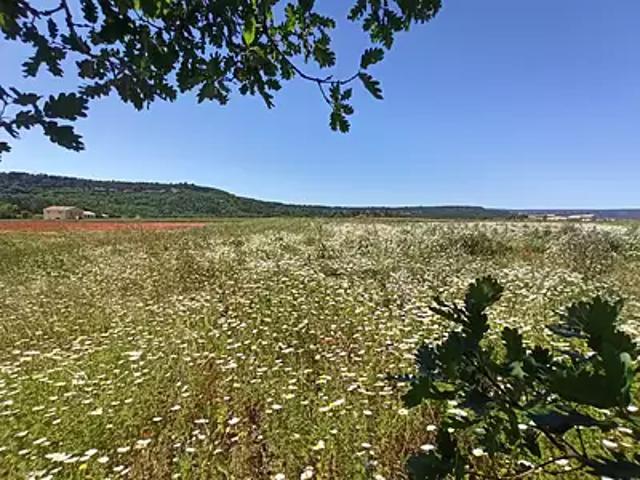 Terrain vente à Apt, Goult