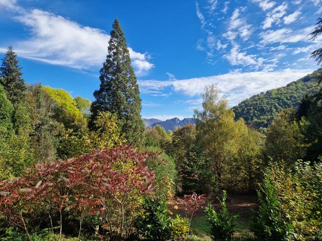 Maison vente à Foix, Gourbit