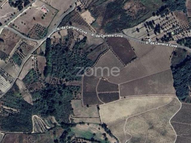 Terreno venda em Guarda, São Julião