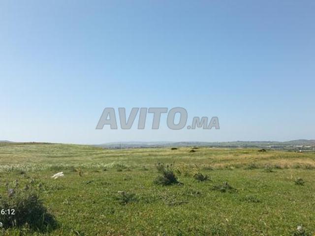 Propriété vente à Aït Melloul, Oued ed Dahab-Lagouira